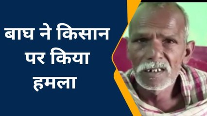 खीरी: गन्ने की छिलाई कर रहा था किसान, आदमखोर बाघ ने किया जानलेवा हमला, और फिर