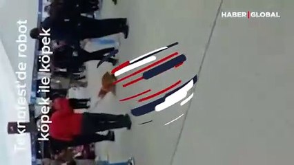 Köpeğin robot köpeği görünce şaşırdığı anlar, TEKNOFEST'e damga vurdu