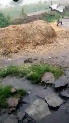 Video: 24 घंटे से हो रही बारिश, चने के बराबर गिरे ओले
