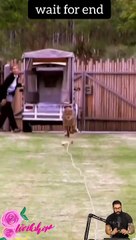 #trendingshorts #shortsvideo #shortvideos #shortsvideos #shortsvideotrends  #shortsvideochannel 15 (2)