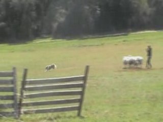 Vercors mouton 230308