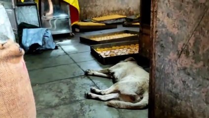 थाने के सामने फैक्ट्री, नहीं सुरक्षा के इंतजाम