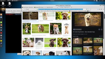 Security Academy Practical Ethical Hacking - Walkthrough - Devel