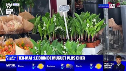 L'inflation touche aussi le muguet cette année