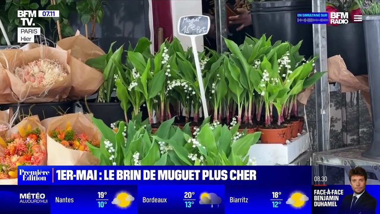 L'inflation touche aussi le muguet cette année