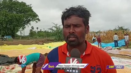 Unseasonal Rains Creates Huge Crop Damage In Madhira | Khammam | V6 News
