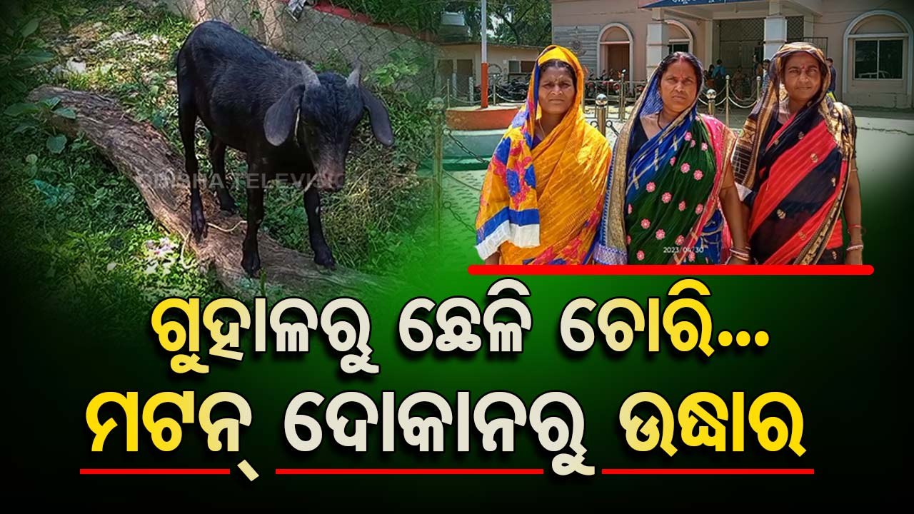Woman rescues her stolen goats from meat shop in Odisha, complaint lodged
