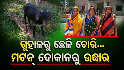 Woman rescues her stolen goats from meat shop in Odisha, complaint lodged
