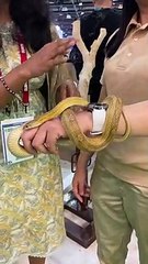 Watch: Live animals roam the halls of ATM Dubai 2023