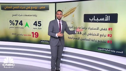 ما هي خطة مصر لتوسيع احتياطيتها من القمح؟