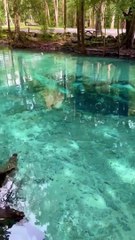 Entertainment·FollowShort_Videos_·_47_minutes_ago·_Big_shout_out_to_my_new..._See_more