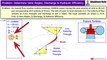 How to determine Discharge, Hydraulic Efficiency & Vane Angles of Francis Reaction Turbine | Shubham Kola