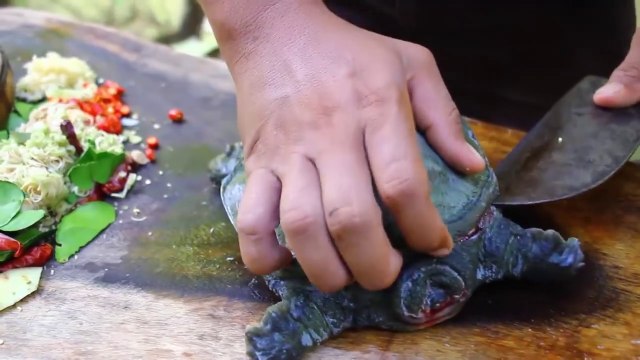 {Graphic} Soft Shell Turtle Clean - Cooking soft Shell Turtle Tasty Food in Asian Culture Recipe