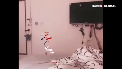 Sahibine çiğ balık getiren kedi suratına fırlattı kahkahaya boğdu 'pişir şunu'