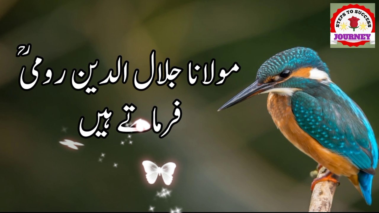 Molana Rumi Ke 20 Most Famous Aqwal
