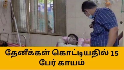 திருப்பூர்: தேனீக்கள் கொட்டியதில் பக்தர்கள் 15 பேர் படுகாயம்-பகீர் தகவல்!