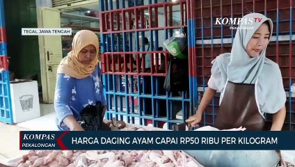 Harga Daging Ayam Potong Pasca Lebaran Melonjak hingga Rp50 Ribu per Kilogram