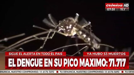 Alerta dengue: la enfermedad tocó su pico máximo en Argentina
