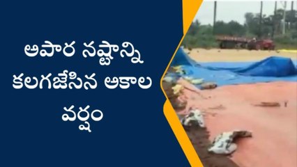 గన్నవరం: అన్నదాతను నిండా ముంచిన వాన