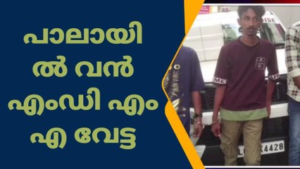 പാലായിൽ വൻ എംഡിഎംഎ വേട്ട; മൂവര്‍ സംഘം അറസ്റ്റില്‍