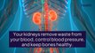 Kidney Disease—5 Common Causes