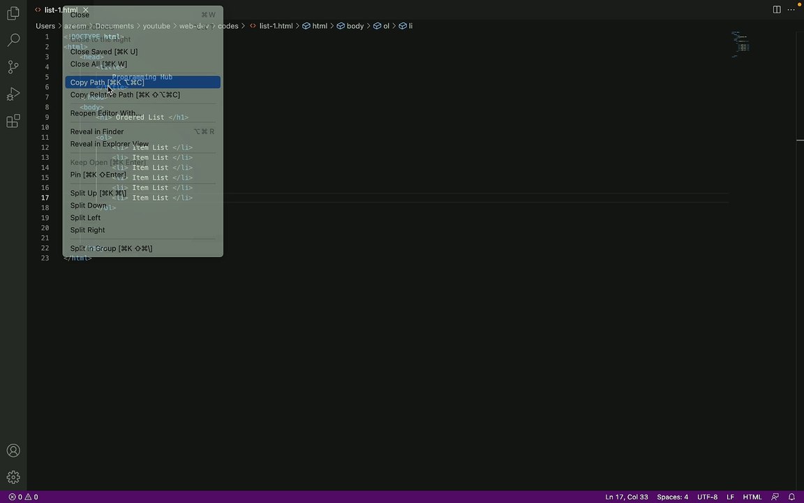 How to Create List in HTML | Ordered List | Unordered List | Definition List | Programming Hub