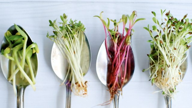 11 Foods to Avoid During Pregnancy