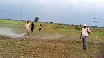 Chances of rain till May 3, waterlogged condition in the fields, Agriculture Department is giving advice for evacuation