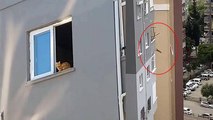 Ağır hasarlı binadan kurtarılmaya çalışılan kedi, 14’üncü kattan atladı