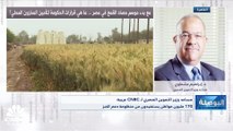 مساعد وزير التموين المصري لـ CNBC عربية: نستهلك ما يقرب من 22 مليون طن سنوياً من القمح