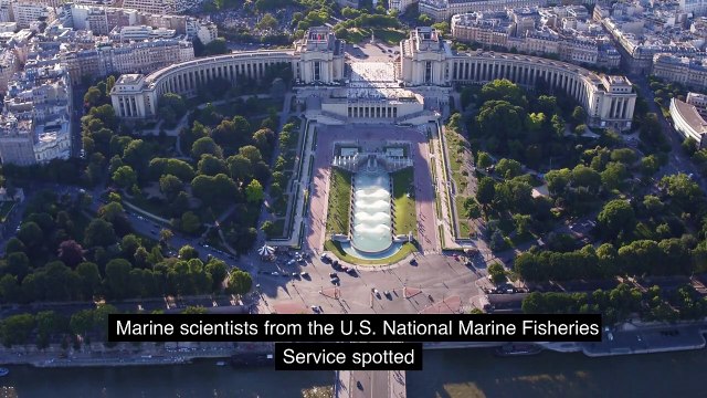 Alien Treasure Hunt? Mysterious Holes on Seafloor Have Researchers Scratching their Heads.