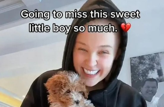 JoJo Siwa heartbroken after her puppy dies in accident