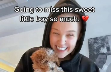 JoJo Siwa heartbroken after her puppy dies in accident