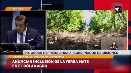 Anuncian inclusión de la yerba mate en el dólar agro