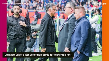 Christophe Galtier en plein cauchemar au Parc des princes, sa femme Grace et son fils John dans les tribunes