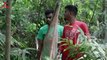 Tiger Attack Man in Forest   Royal Bengal Tiger Attack Fun Made Movie (2)
