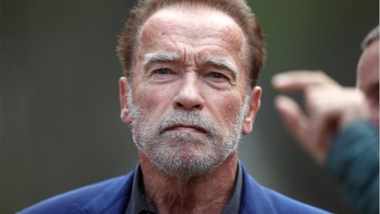 Voici - Arnold Schwarzenegger : ce drôle d'animal qu'il vient d'adopter