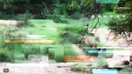 35 Scary Moments Baboon Injured By Crocodile, Wild Dog and Leopard   Animal World