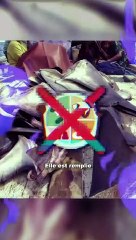 5 faits insolites sur les animaux