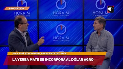 La yerba mate se suma al dólar agro: “Será una inyección de más de $3.200 millones a la chacra misionera”