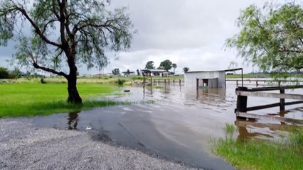 Flood preparation plans need to protect at-risk homes and businesses better, NSW regional communities say