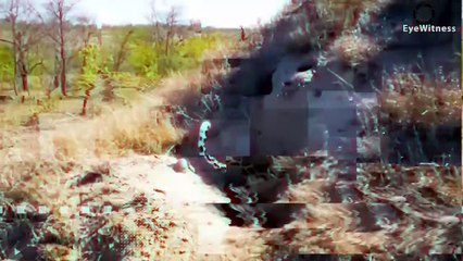 8 Moments Warthog Is Too Subjective Will It Escape The Attack Of Leopard   Wild Animal