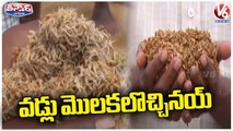 Farmers Suffering After Paddy Crop Loss Due To Rains _ V6 Teenmaar
