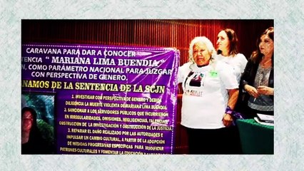 Feminicidio de Mariana Lima Buendía | Especiales Milenio