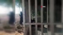 Gazze Şeridi’nde hayvanat bahçesinde aslanın saldırdığı çocuk öldü