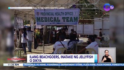 Ilang beachgoers, inatake ng jellyfish o dikya | BT