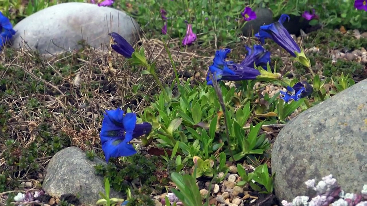90-jährige Britin erinnert sich noch an Krönung der Queen
