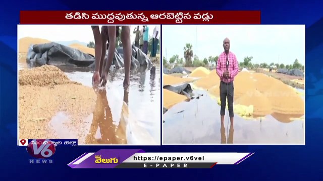 Huge Paddy Loss Due To Unseasonal Rains , Farmers Demands Compensation _ V6 News