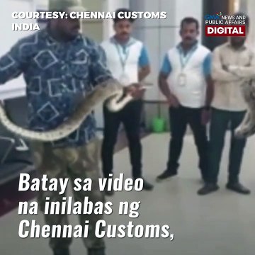 Bagaheng ibiniyahe sa eroplano, puno pala ng ahas! | GMA News Feed