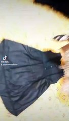 New Cloth organic Fabric beauty